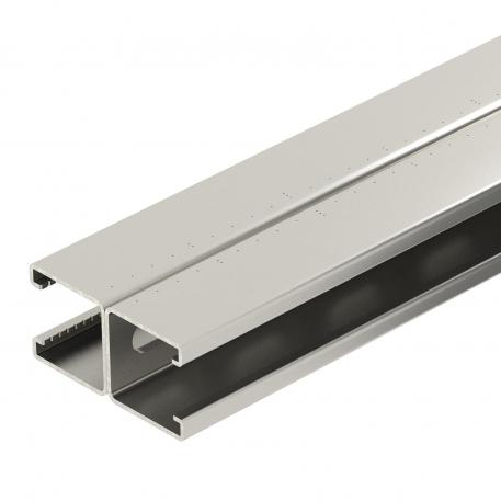 MS4182 mounting rail, slot 22 mm, double, A2, perforated  6000 | 41 | 82 | 2 | Bright, treated