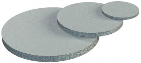 Dust protection plate, metric 12 | 1.5 | M12